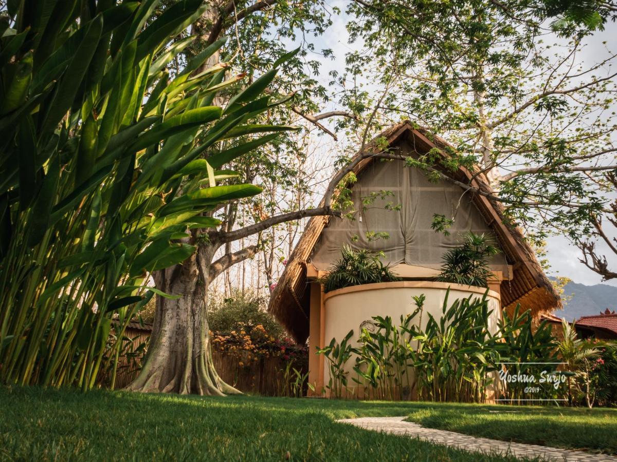 Kuda Laut Bungalows&Diving Pemuteran Exterior foto
